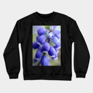 Purple Bells Crewneck Sweatshirt